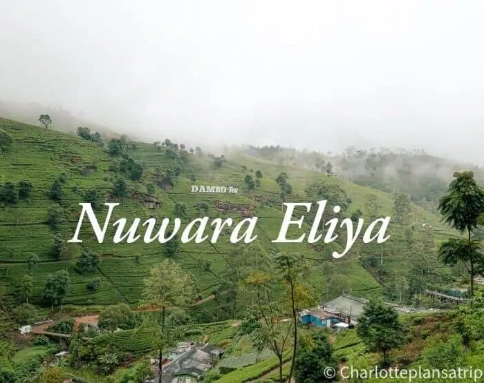 Nuwara-Eliya - 2 Nights stay