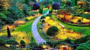 Royal Botanical Gardens - Peradeniya