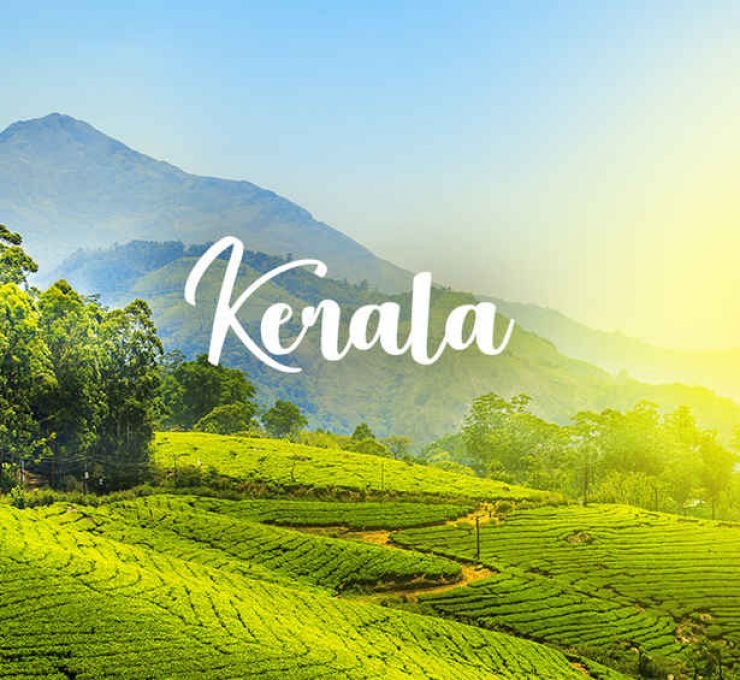 Amazing Kerala – Munnar Thekkady Alleppey -5 Days- 14229HB04