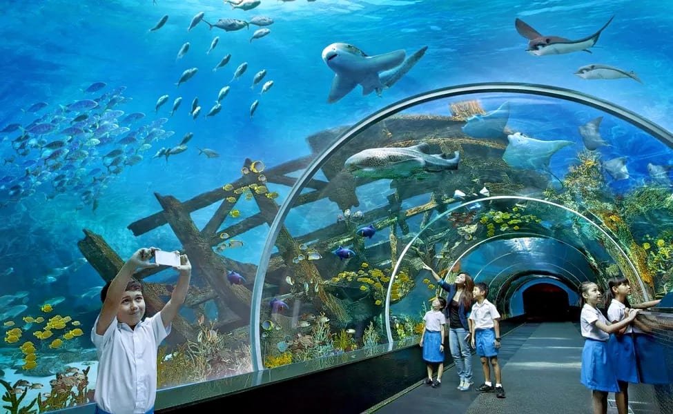 Sea Aquarium, Sentosa