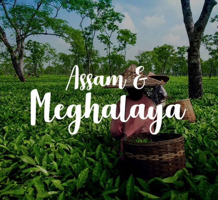 Assam & Meghalaya – Cherapunjee, Shillong, Kaziranga, Guwahati – 14821N6CQ04