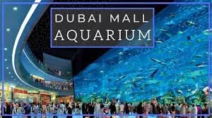 Dubai Aquarium & Underwater Zoo, Dubai Mall
