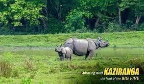 Kaziranga National Park, Assam (Safari Exclude)